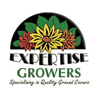 Expertise Growers